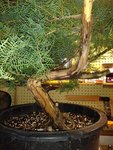 20200508_211630.jpg