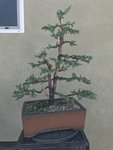 IMG_8137.jpg