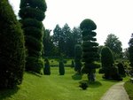 wellesley_topiary.jpg