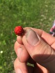 BF2CBB63-86E4-4703-A721-7B0286431AFE.jpeg