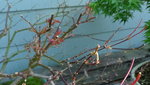 DSC00643.JPG