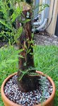 20200617_141257.jpg