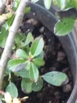 20200618_170713.jpg