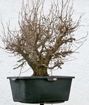 2016-03-SAL_4723w.jpg