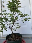 IMG_9097.jpeg