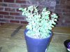 20130604_230408.jpg