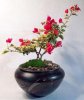 bonsai_pot_flower_pot_garden_pot_ceramic_pot_www.tootallspottery_32_-339x399.jpg