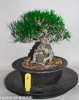 $T2eC16FHJIIE9qTYI45WBRsV+t4TFQ~~60_57.jpg