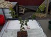DSCN0193.jpg