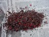 DSCN0175.jpg