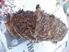 DSCN0182.jpg