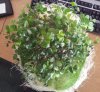 20130614_175212.jpg