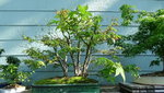 DSC00650.JPG