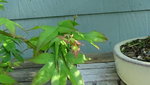 DSC00651.JPG