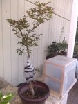 IMG_20200628_202530957.jpg