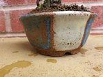 20200701_104334.jpg
