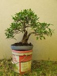 20200703_090255.jpg