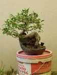 20200703_090449.jpg