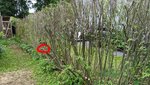 iMarkup_20200703_182035.jpg