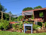 Bonsai shed1.jpg