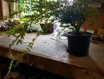 20200610_173233.jpg