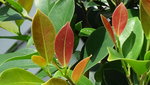 DSC00672.JPG