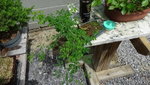 DSC00674.JPG