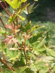 20200722_161639.jpg