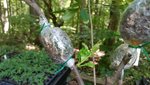 thumbnail_20200722_113514.jpg