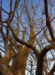 20200801_152316.jpg