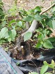20200803_153833.jpg