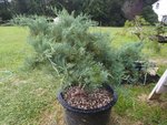20200803_164807.jpg