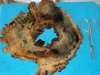 DSC05361.jpg