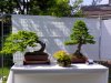 CRBC 2013 Show16.jpg