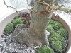 CAM01022.jpg