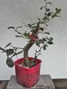 CAM01048.jpg