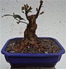 CAM01109.jpg