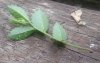 2013-07-16 19.57.19.jpg