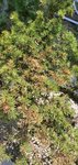 20200804_150725.jpg 20200804_150725.jpg