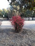 20200811_074154.jpg 20200811_074154.jpg