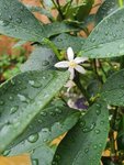 20200816_183055.jpg