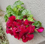 20200817_135327.jpg
