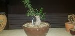 20200818_005540.jpg