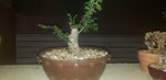 20200818_005155.jpg