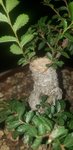 20200818_005718.jpg