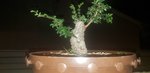 20200818_005649.jpg