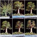 2019-12-24_10-49-23.jpg