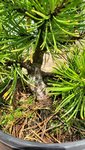 20200829_131608.jpg