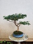 20200831_184037.jpg