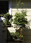 stand 9-4-20 smimg.jpg